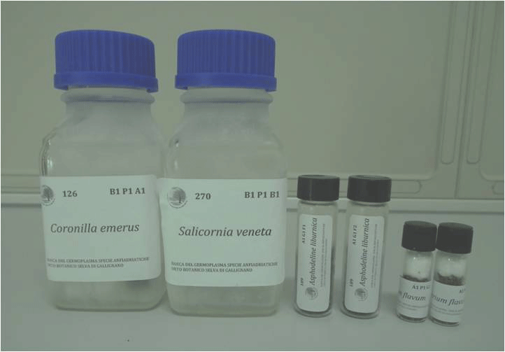 Contenitori per lo stoccaggio dei semi a lungo termine