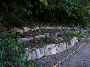 Aiuola felci